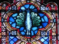 peacock, christian symbol
